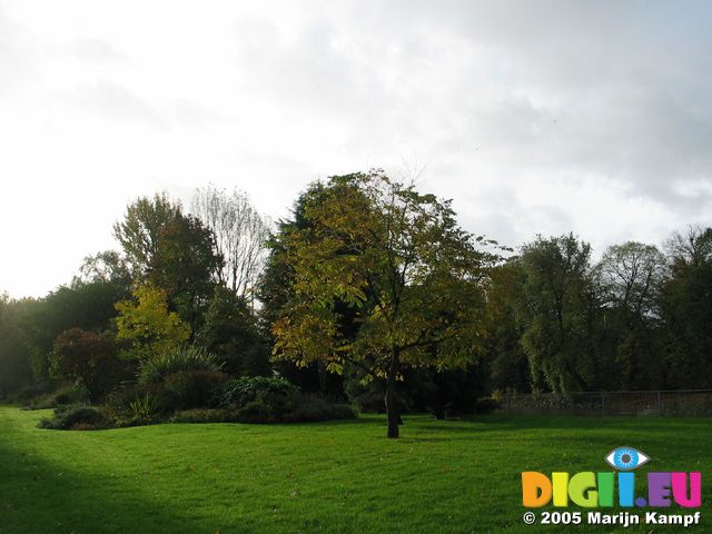 15214 Sunrise in Bute park